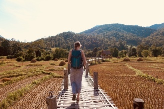 Die Bamboo Bridge führt über Reisfelder zu einem kleinen Tempel.